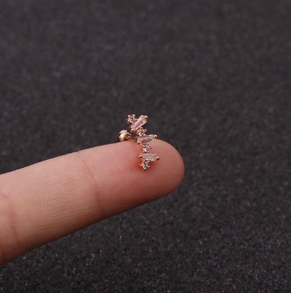 Stainless Steel Star Zirconia Screw Earrings (Pierced)
